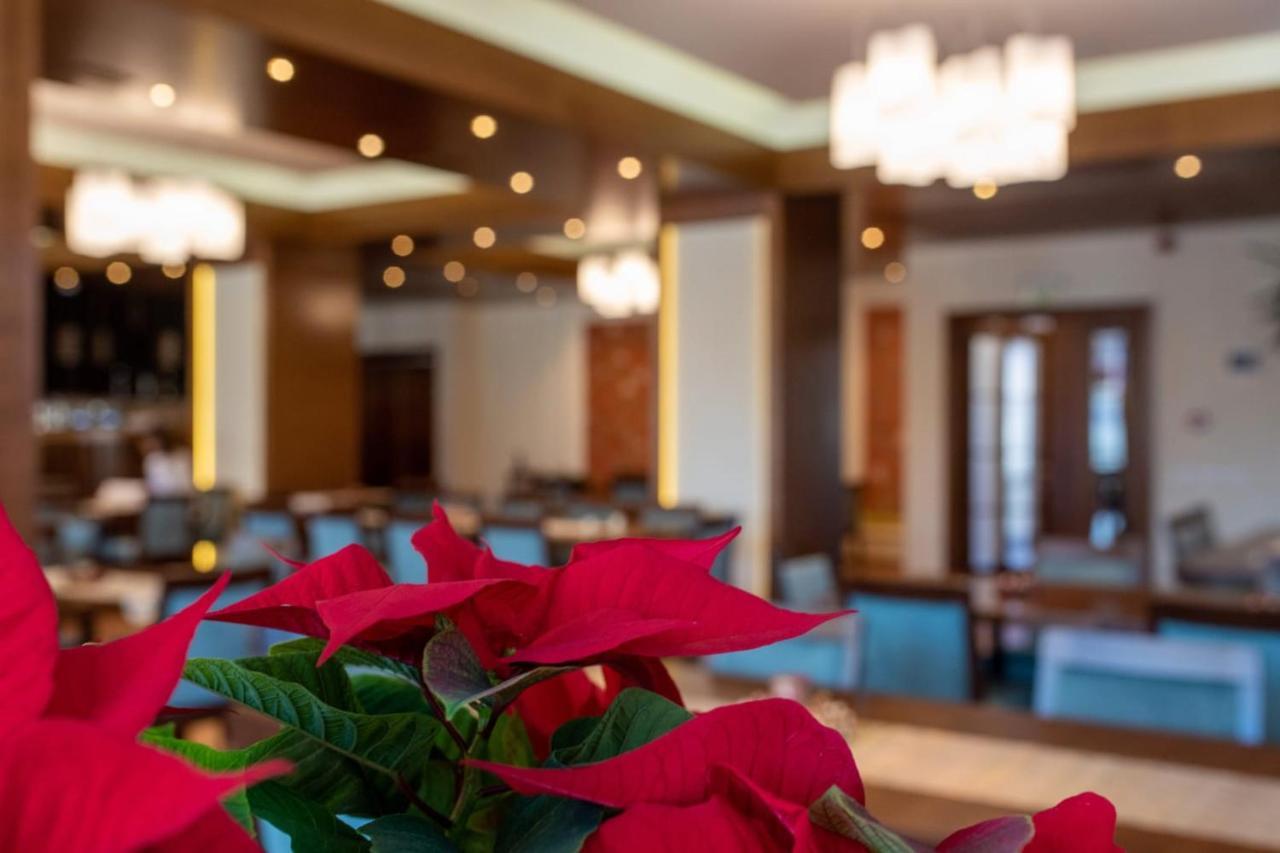 Hotel Buchenland Gura Humorului Dış mekan fotoğraf